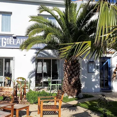 Le Goeland Barbâtre