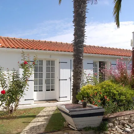 Le Goeland Barbâtre