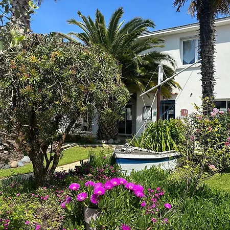 Le Goeland Barbâtre