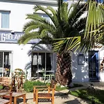 Le Goeland Barbâtre