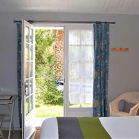 Le Goeland Barbatre
