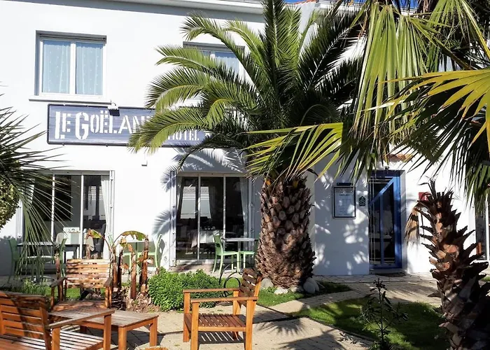 Le Goeland Barbâtre