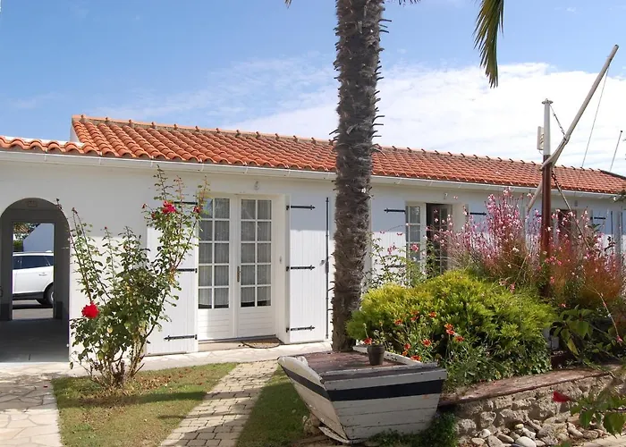 Le Goeland Barbâtre