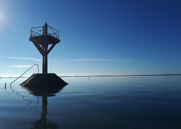 Le Goeland * 巴尔巴特尔