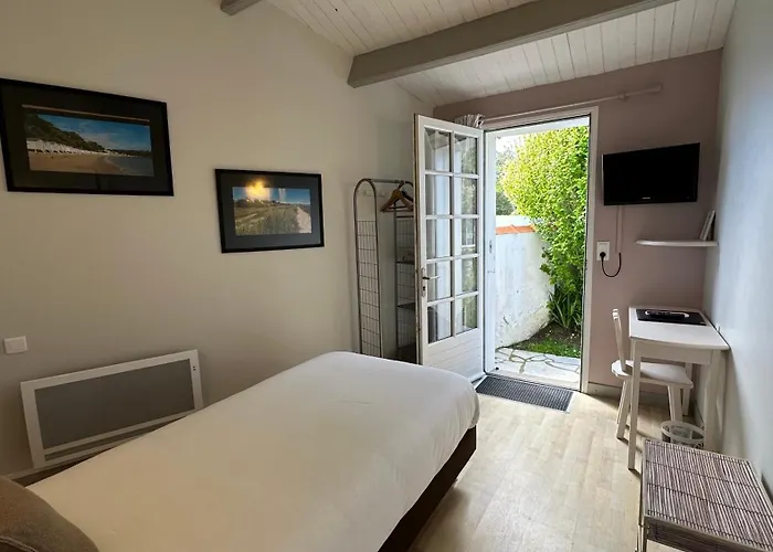 Le Goeland Barbâtre