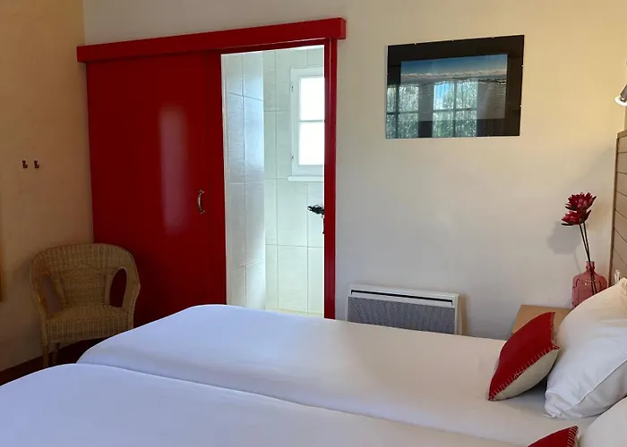 Le Goeland Barbâtre