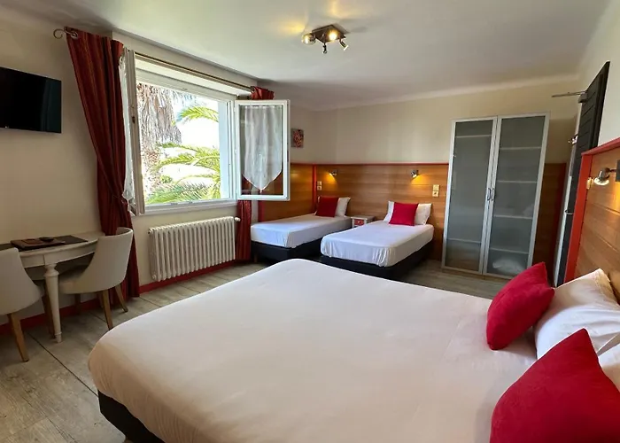 Le Goeland Barbâtre