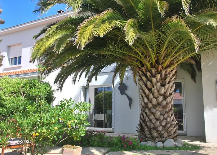 Le Goeland Barbâtre