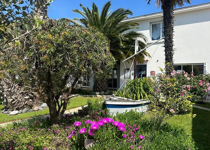 Le Goeland Barbâtre